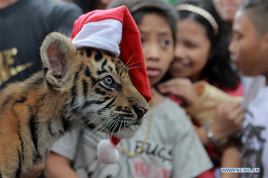 PHILIPPINES-MALABON CITY-ANIMAL CHRISTMAS PARTY