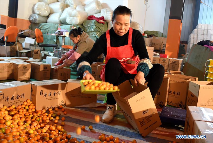 CHINA-GUANGXI-KUMQUAT FRUIT-SALE (CN)