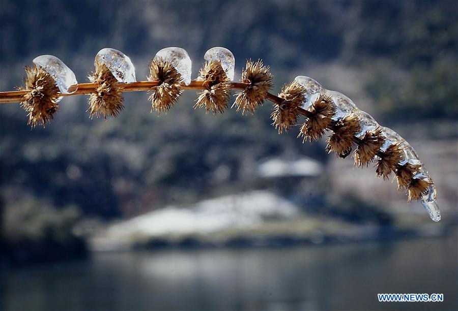 CHINA-HENAN-WINTER-ICE (CN)