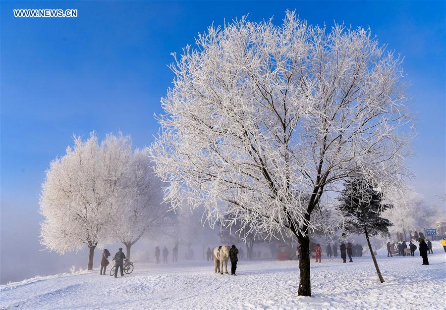 CHINA-JILIN-RIME (CN)