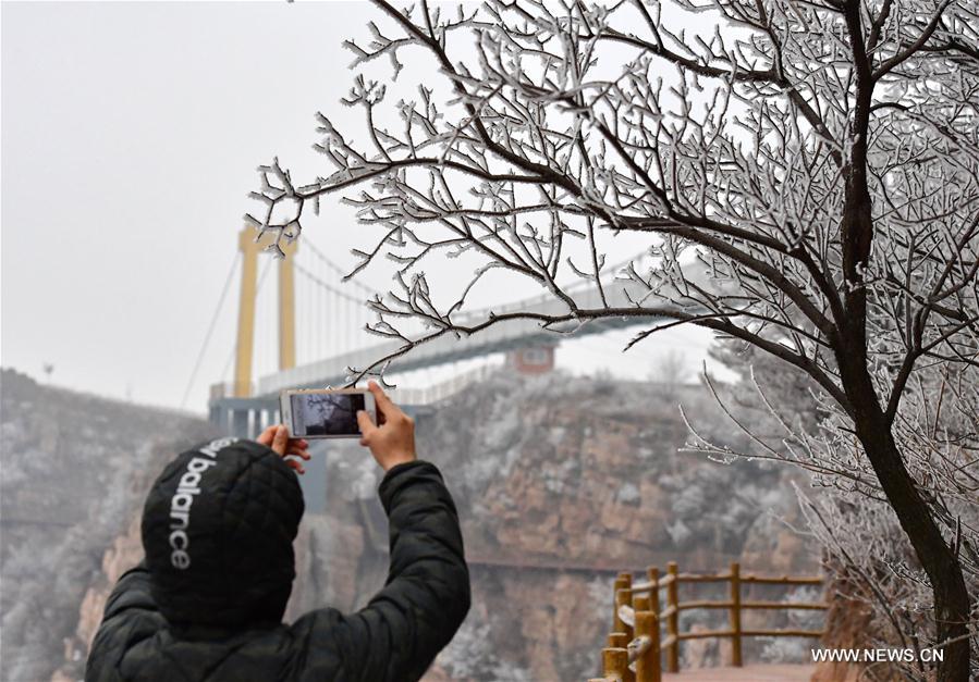 CHINA-HENAN-PINGDINGSHAN-FROST SCENERY (CN)