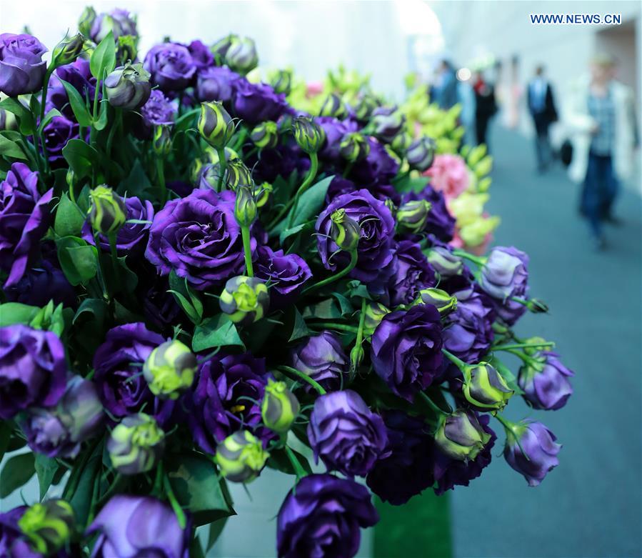 GERMANY-FRANKFURT-EXHIBITION-FLORADECORA