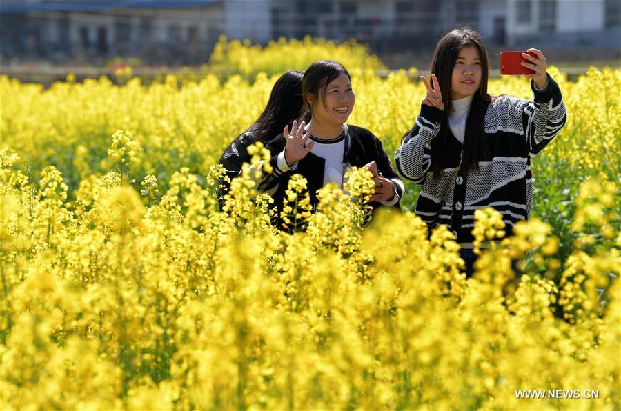 CHINA-JIANGXI-PINGXIANG-COLE FLOWERS (CN)