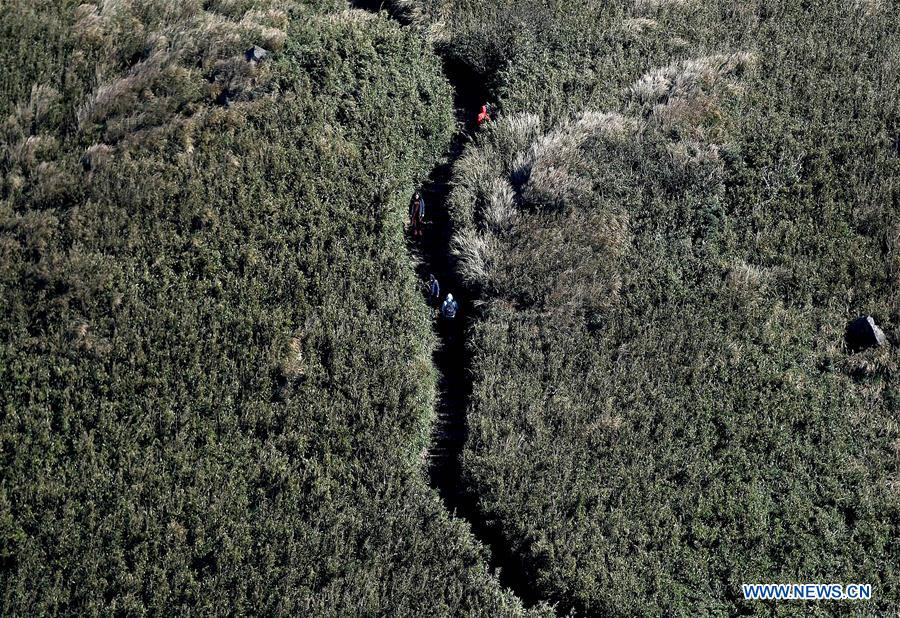 CHINA-TAIPEI-YANGMING MOUNTAIN-SCENERY(CN)