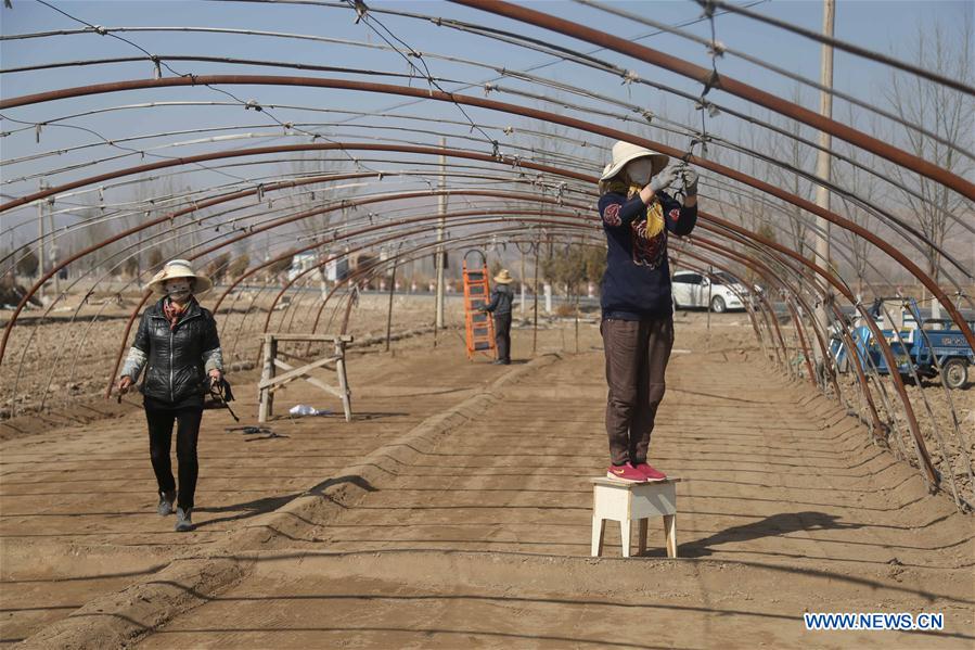 #CHINA-FARM WORK(CN)