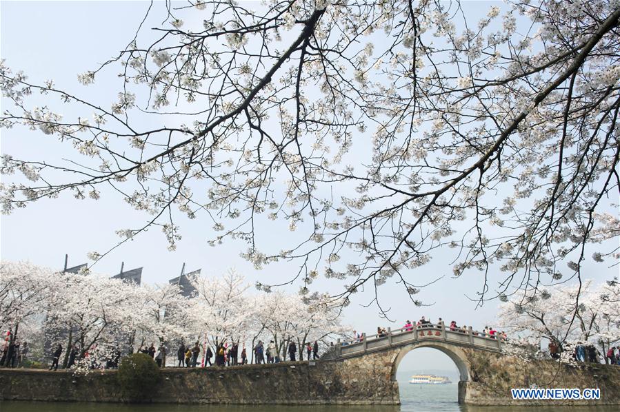 #CHINA-SPRING-BLOSSOMS (CN)