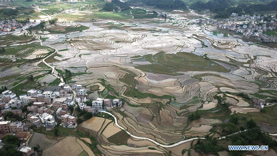 #CHINA-GUANGXI-TERRACED FIELDS (CN)