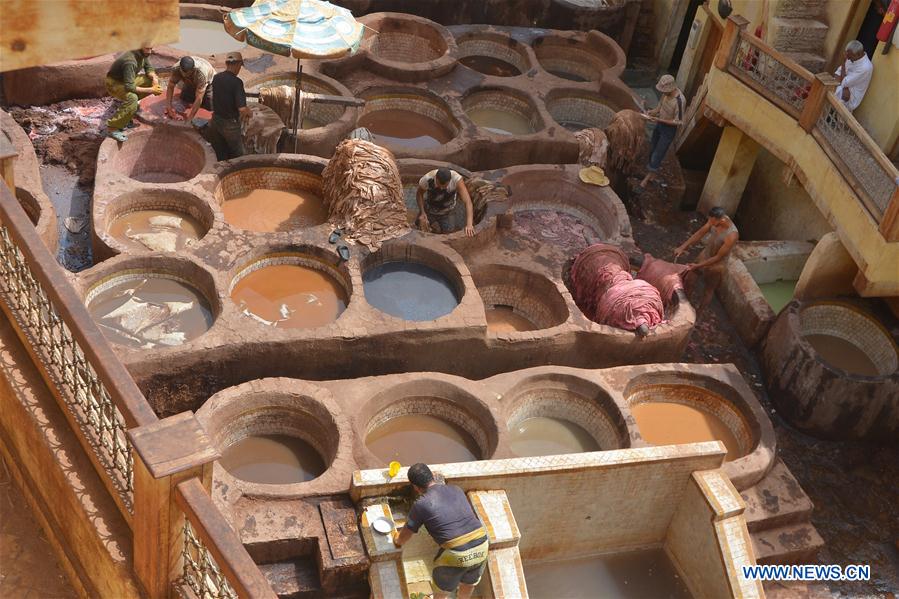 MOROCCO-FEZ-CHAOUWARA TANNERY