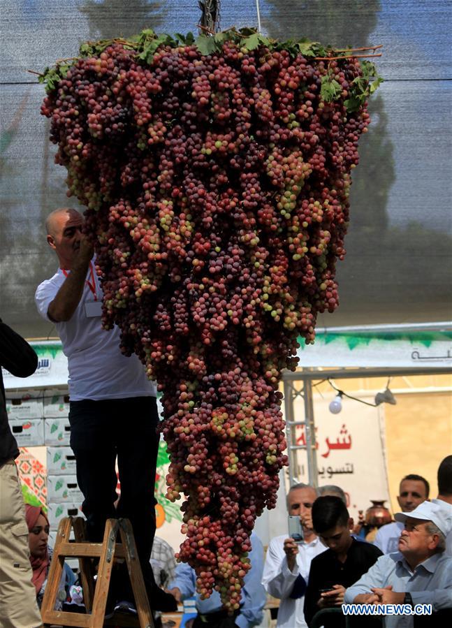 MIDEAST-HEBRON-GRAPES FESTIVAL