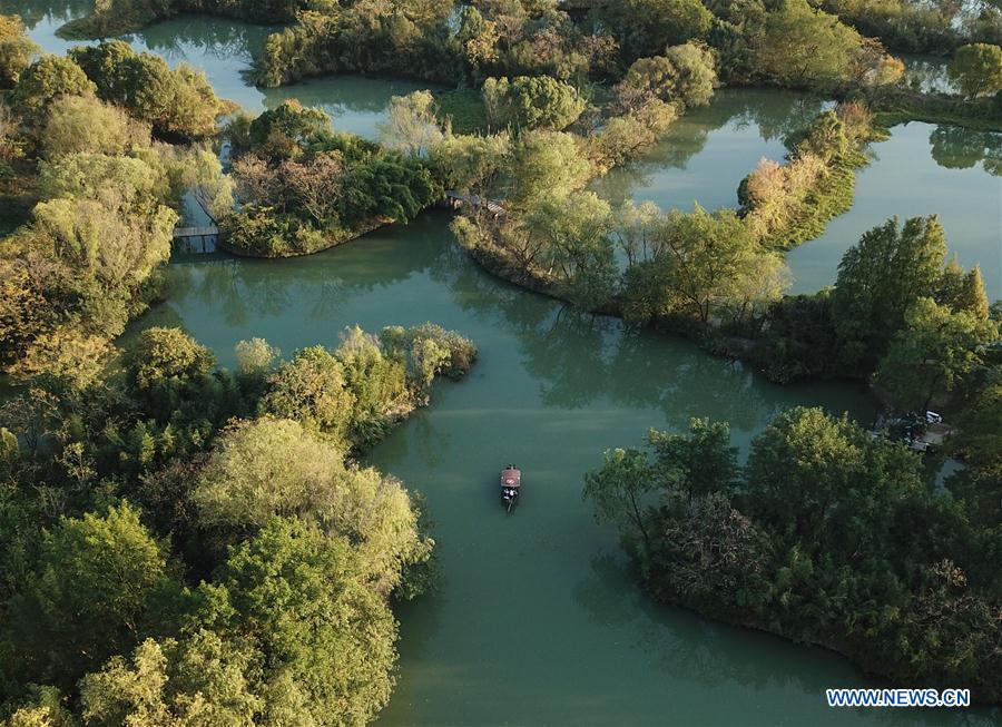 CHINA-HANGZHOU-XIXI WETLAND-AUTUMN SCENERY (CN)