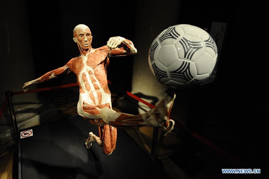 POLAND-WARSAW-BODY WORLDS-EXHIBITION