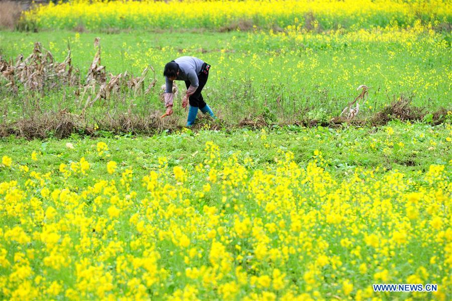 #CHINA-EARLY SPRING-AGRICULTURE(CN)