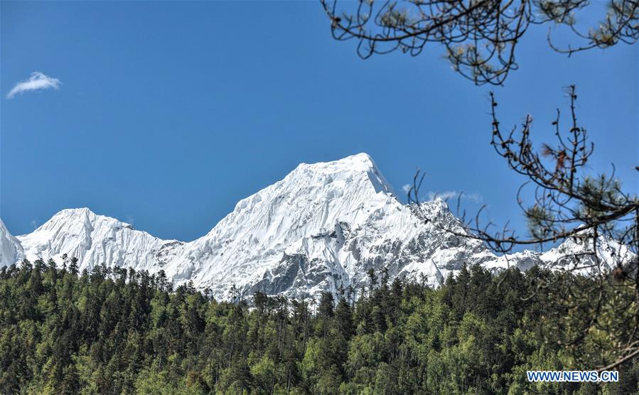 CHINA-TIBET-NYINGCHI-BOMI-SCENERY (CN)