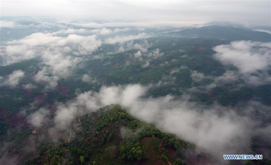 CHINA-YUNNAN-LANCANG-SCENERY AND TEA PLANTING (CN)