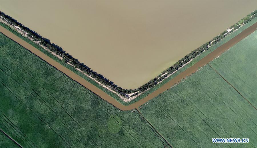 CHINA-TIANJIN-WETLAND-SCENERY (CN)