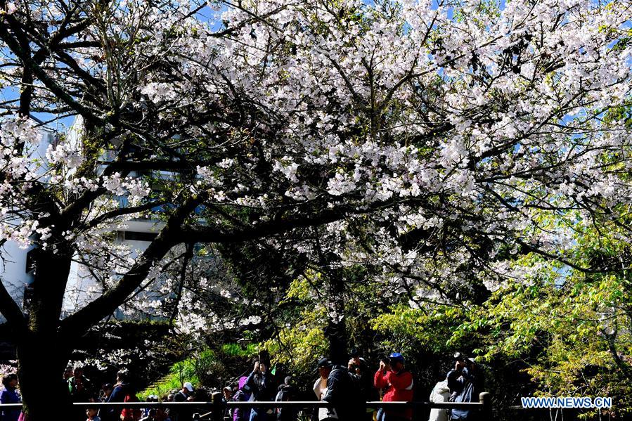 (EcoChina)CHINA-BEIJING-HORTICULTURAL EXPO-TAIWAN (CN)