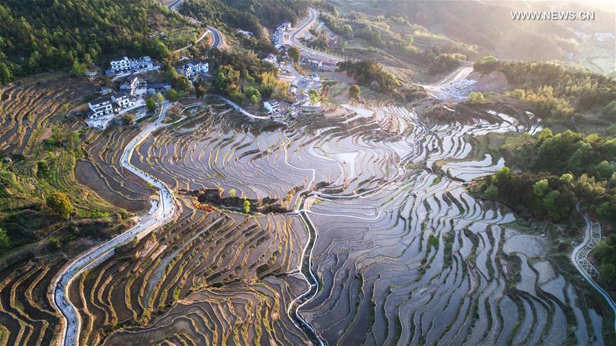 CHINA-BEIJING-HORTICULTURAL EXPO-HUBEI DAY (CN)