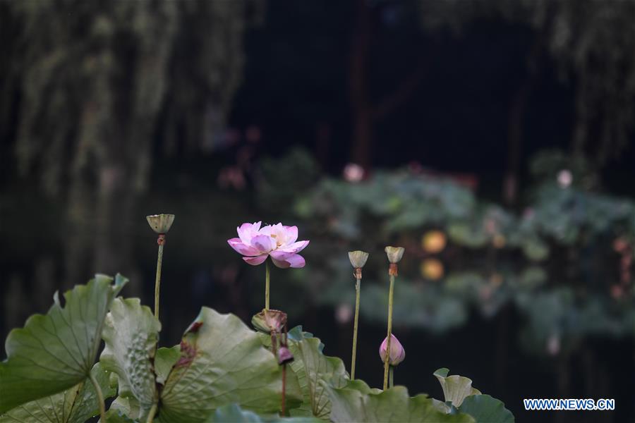 CHINA-HANGZHOU-WEST LAKE (CN)