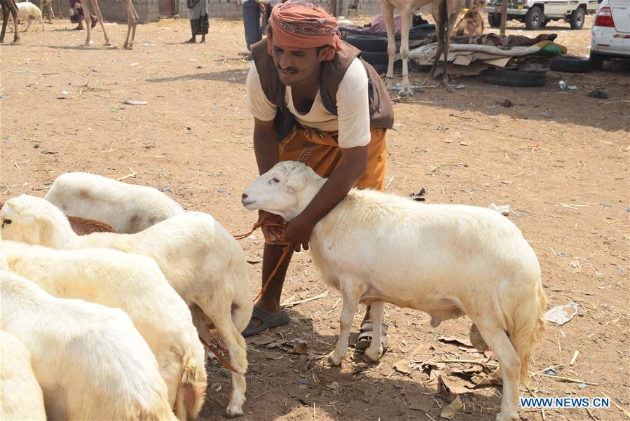 YEMEN-ADEN-EID AL-ADHA-PREPARATION