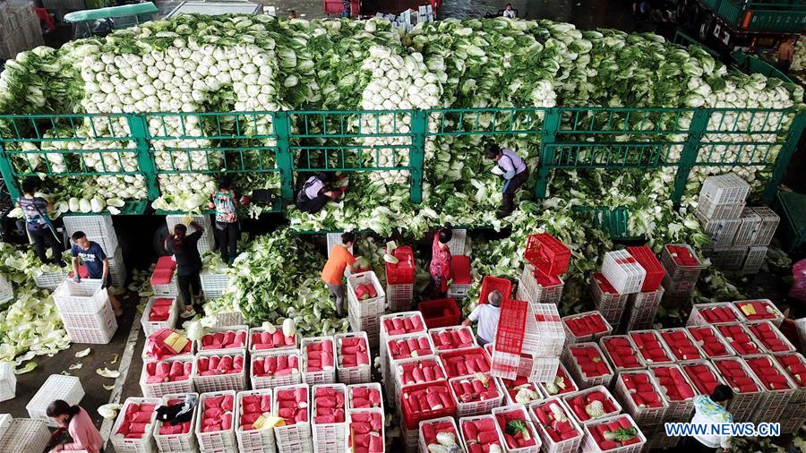 CHINA-SHANDONG-SHOUGUANG-VEGETABLE-SUPPLY (CN)