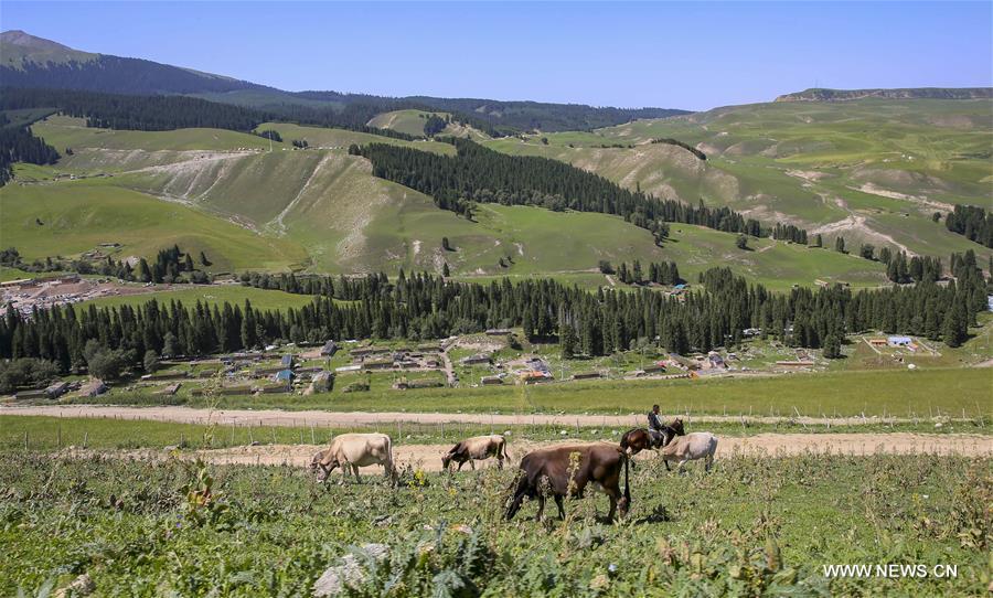 CHINA-XINJIANG-TEKES-KARADALA-LIFE (CN)