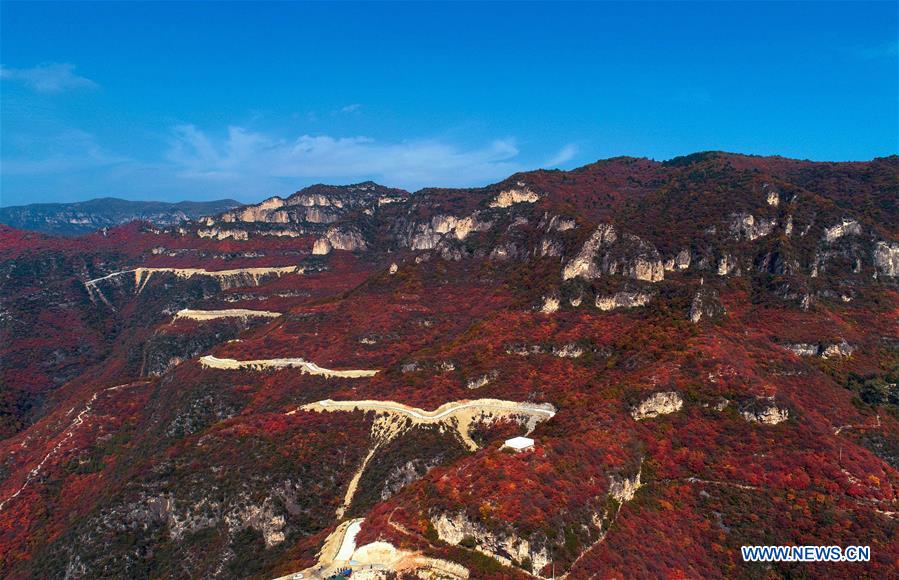 CHINA-HEBEI-SHEXIAN-RED LEAVES (CN)