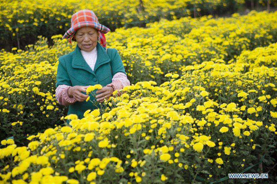 CHINA-JIANGXI-WUYUAN-FARMER-LIFE (CN)