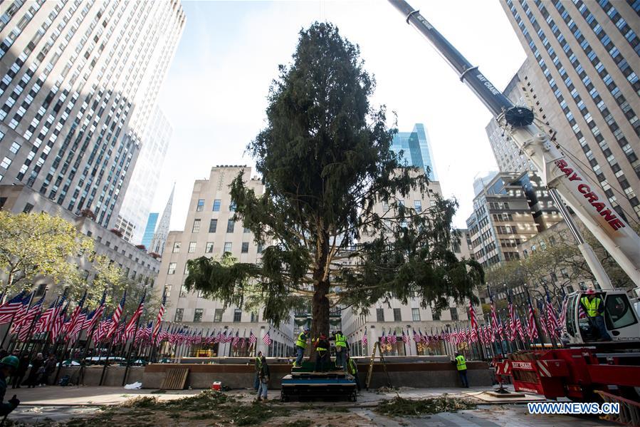 U.S.-NEW YORK-ROCKEFELLER CENTER-CHRISTMAS TREE-ARRIVAL