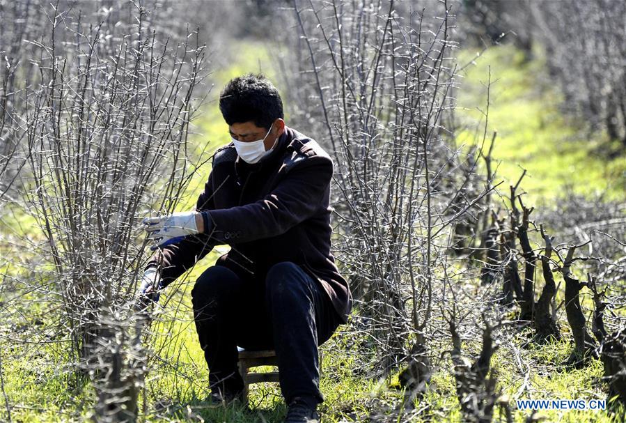 #CHINA-SPRING-FARMING (CN)