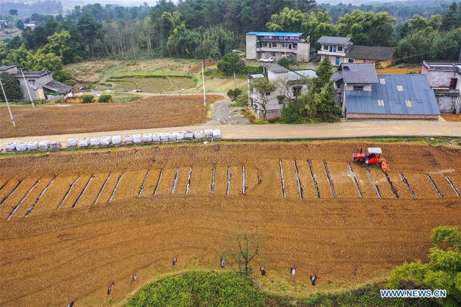 CHINA-CHONGQING-FULING-VINEYARD-PRODUCTION RESUMPTION(CN)