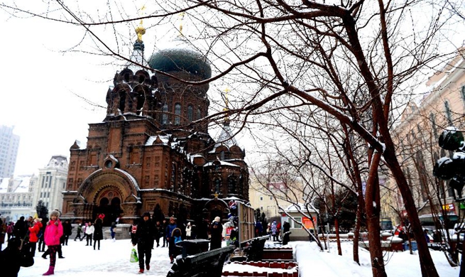 First snowfall of this winter seen in NE China's Harbin