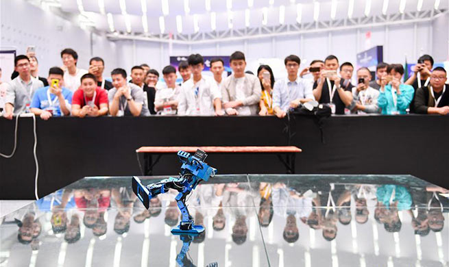 National Robot and Artificial Intelligence Competition held in Foshan