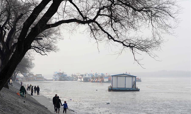 In pics: frozen Songhua River in Harbin