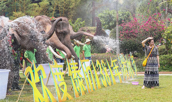 Traditional water-sprinkling festival marked in Xishuangbanna, SW China