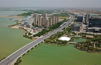 Yinchuan strengthens protection, restoration of wetland