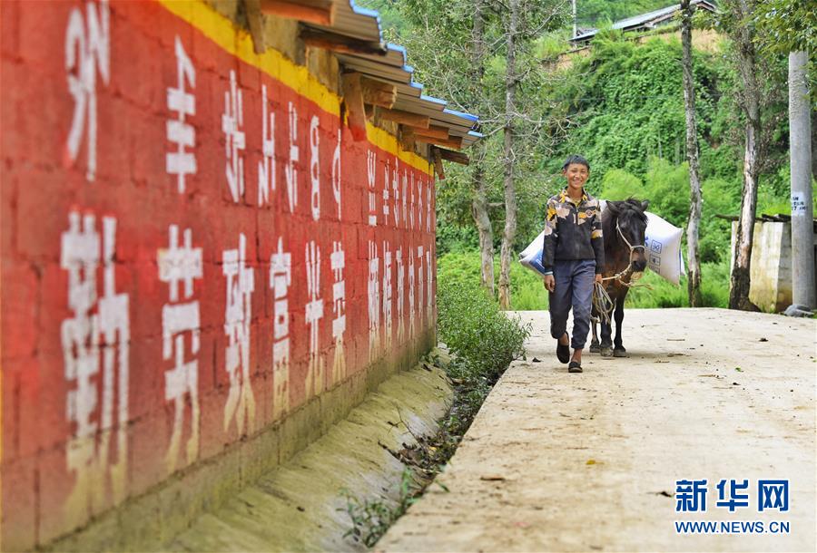 （新华全媒头条·决战决胜脱贫攻坚·督战未摘帽贫困县·图文互动）（6）苦荞花开大凉山——四川7个未摘帽县脱贫攻坚一线观察