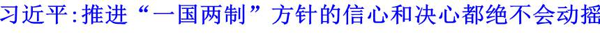 习近平:推进“一国两制”方针的信心和决心都绝不会动摇