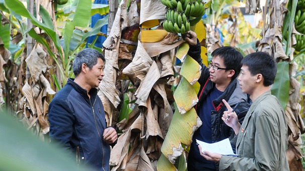 福建南靖：深化驻村党风监督员工作取得成效